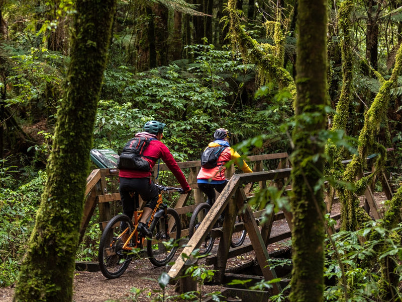 Timber Trail vehicle relocation from Pureora to Ongarue.