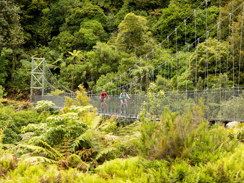 Riding the Timber Trail, Maramataha Bridge.