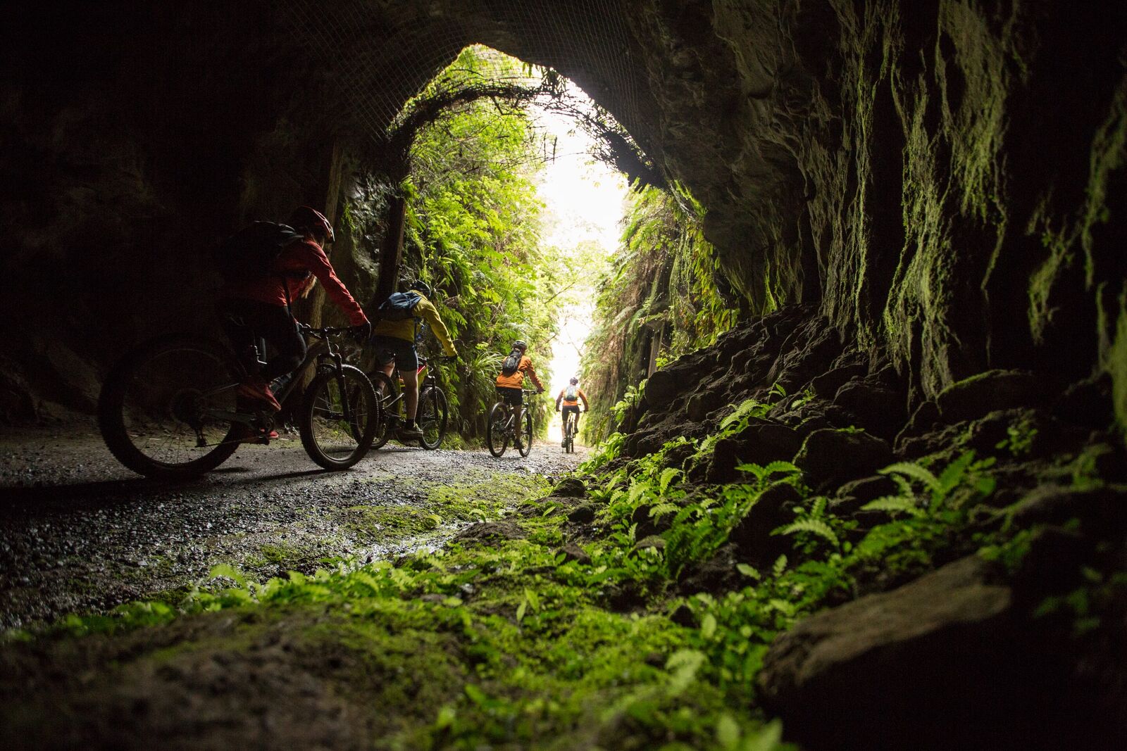 Timber Trail accommodation and shuttles.