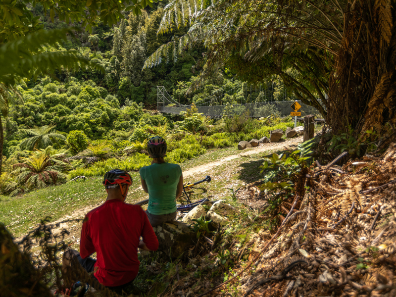 Riding the Timber Trail, Maramataha Bridge.