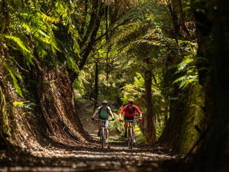 Riding the Timber Trail, Maramataha Bridge.