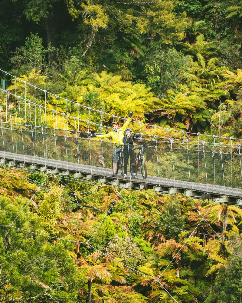 Walking and Hiking Pureora Forest Park - Rata Walk