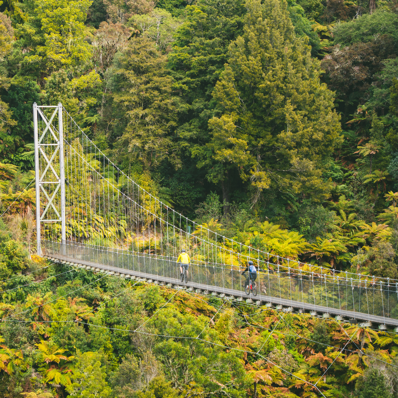 Timber Trail packages with accommodation and shuttles.