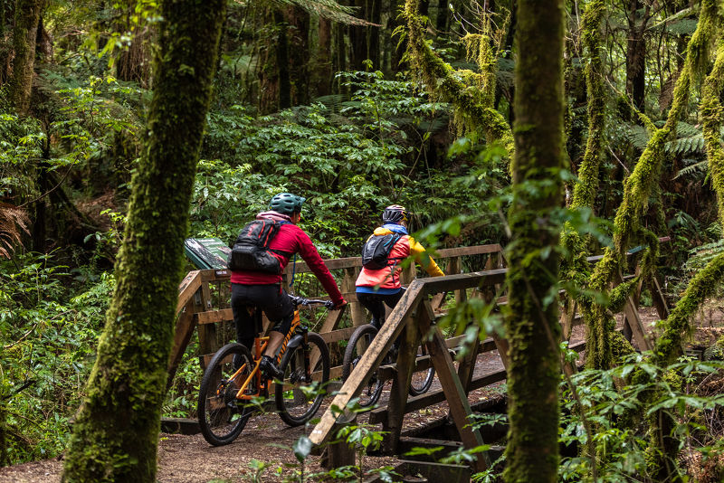 Timber Trail NZ Map