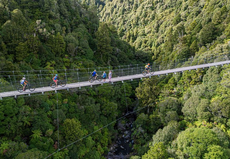 Timber Trail packages with accommodation and shuttles.