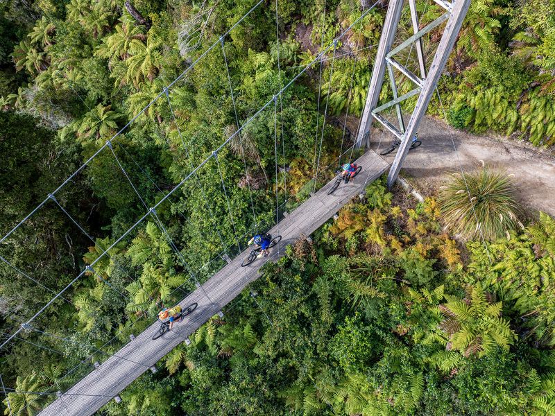 Maramataha Bridge, Timber Trail New Zealand.