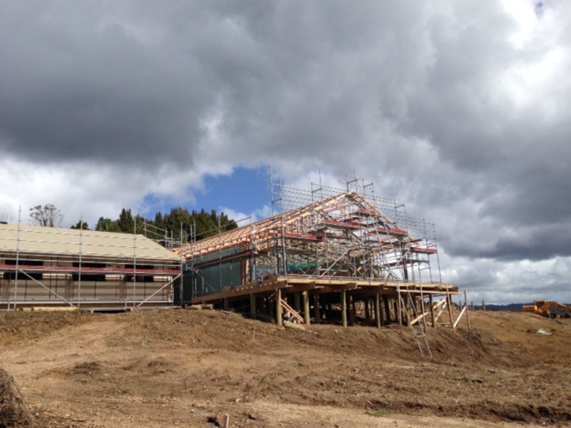 Sustainable accommodation in Pureora Forest.