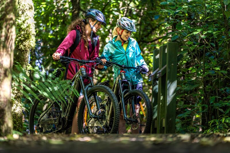Timber Trail packages with accommodation and shuttles.
