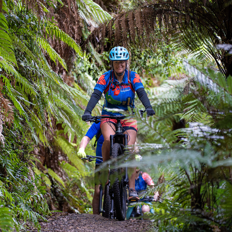 All inclusive bike trail packages on the Timber Trail.