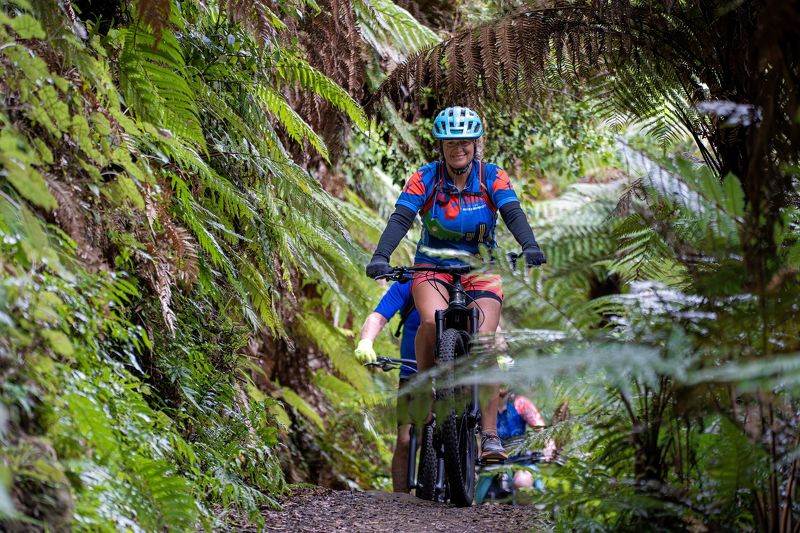 Riding the Timber Trail, Maramataha Bridge.