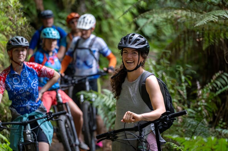 Maramataha Bridge, Timber Trail New Zealand.
