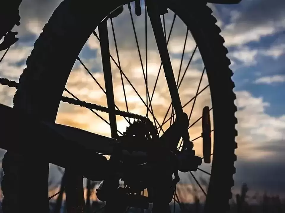 Trail Blazing the Pureora Forest Timber Trail